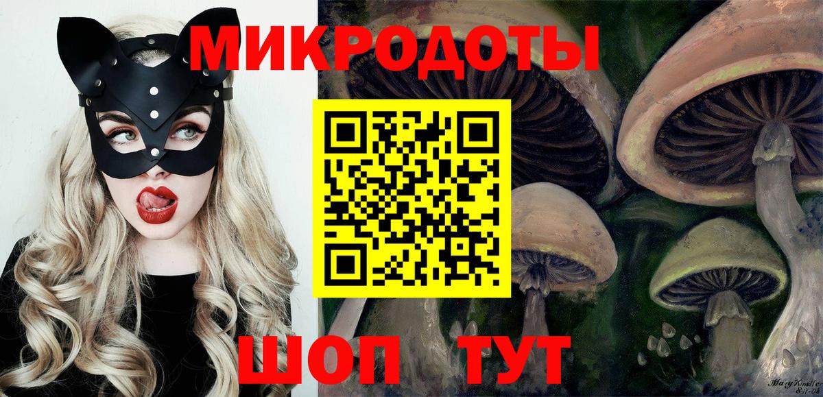 Галлюциногенные грибы Cubensis Дзержинск